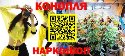 спайс Берёзовский
