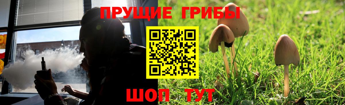 Галлюциногенные грибы прущие грибы  Вход с VPN  Каменка 
